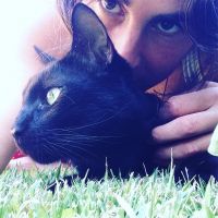 gato negro