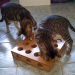 Caja para cazar premios o juguetes