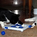 Puzzle interactivo