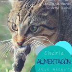 Cartel charla alimentacion