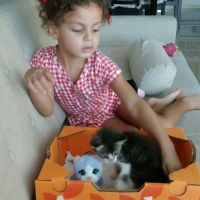 gatos y niños