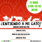 entendiendo a mi gato