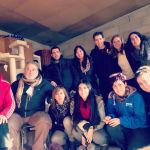 talleres sobre gatos para asociaciones